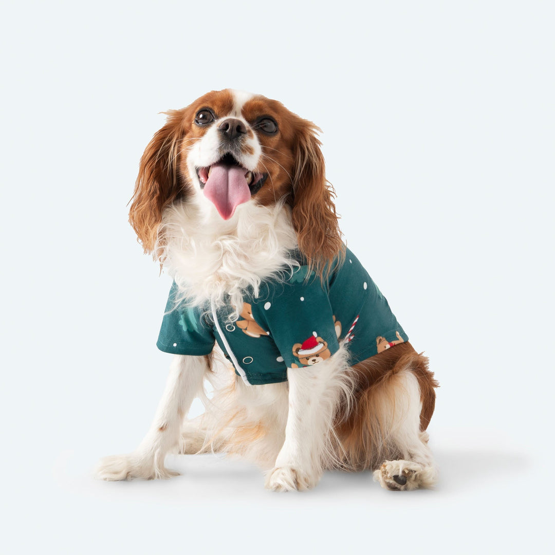 Grüner Teddybär Weihnachtspyjama für Hunde