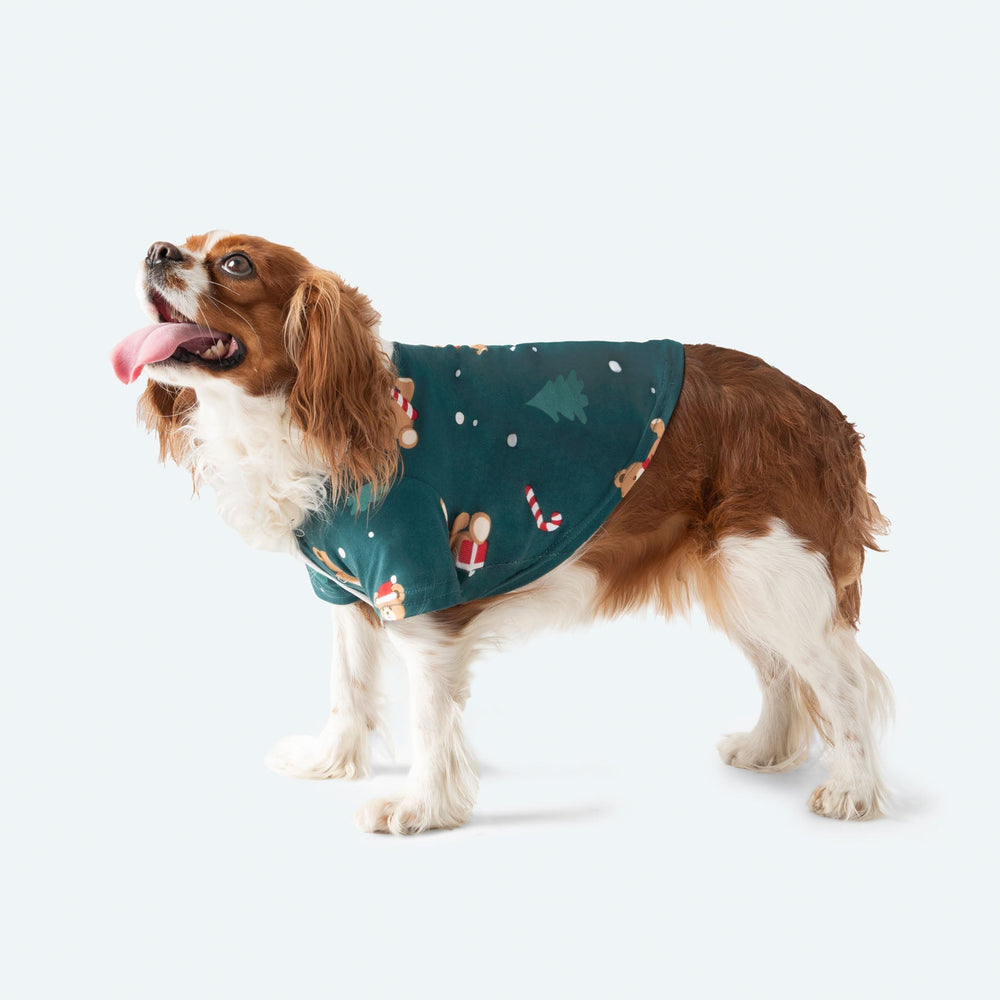 Grüner Teddybär Weihnachtspyjama für Hunde