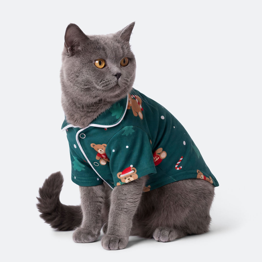Grüner Teddybär Weihnachtspyjama für Katzen