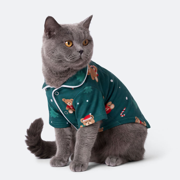 Grüner Teddybär Weihnachtspyjama für Katzen