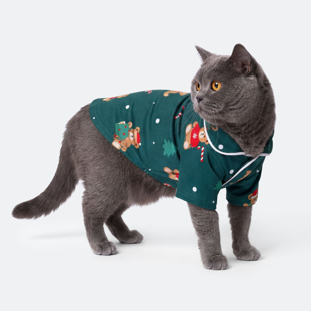 Grüner Teddybär Weihnachtspyjama für Katzen