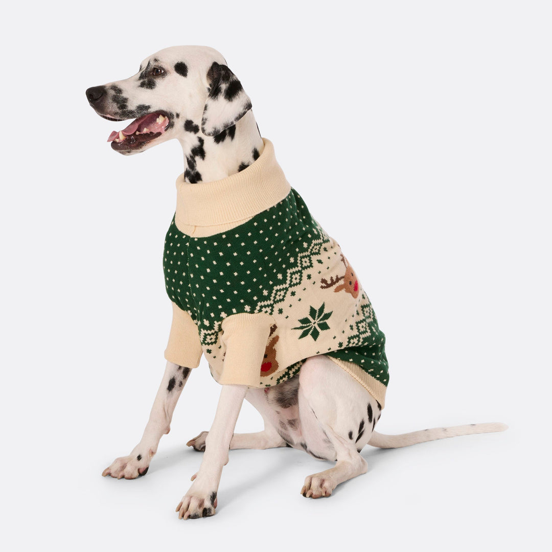 Grüner Retro Rentier Weihnachtspullover für Hunde