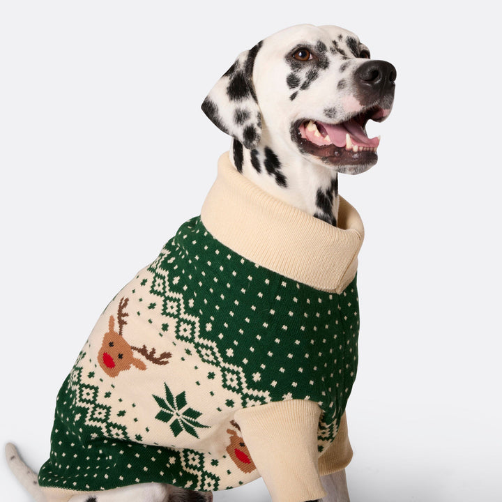 Grüner Retro Rentier Weihnachtspullover für Hunde