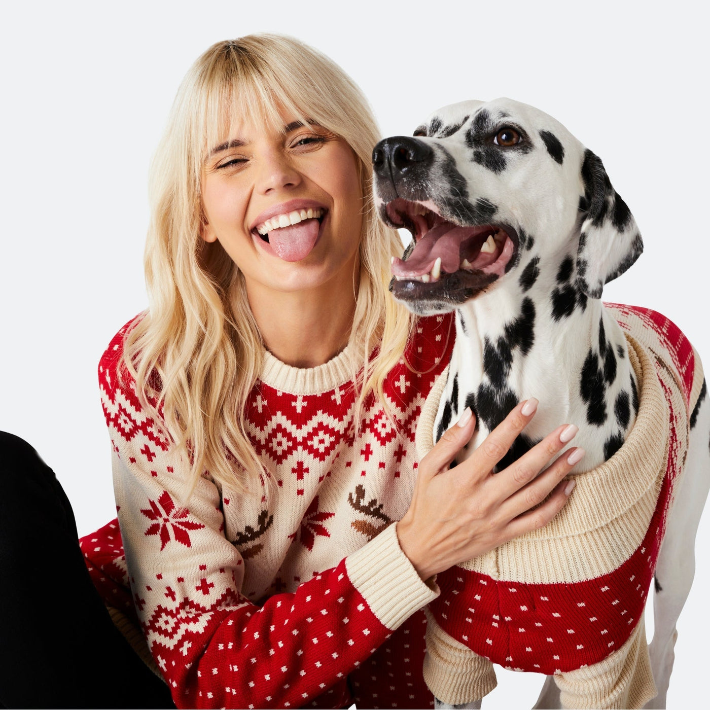Retro Rentier Weihnachtspullover für Hunde