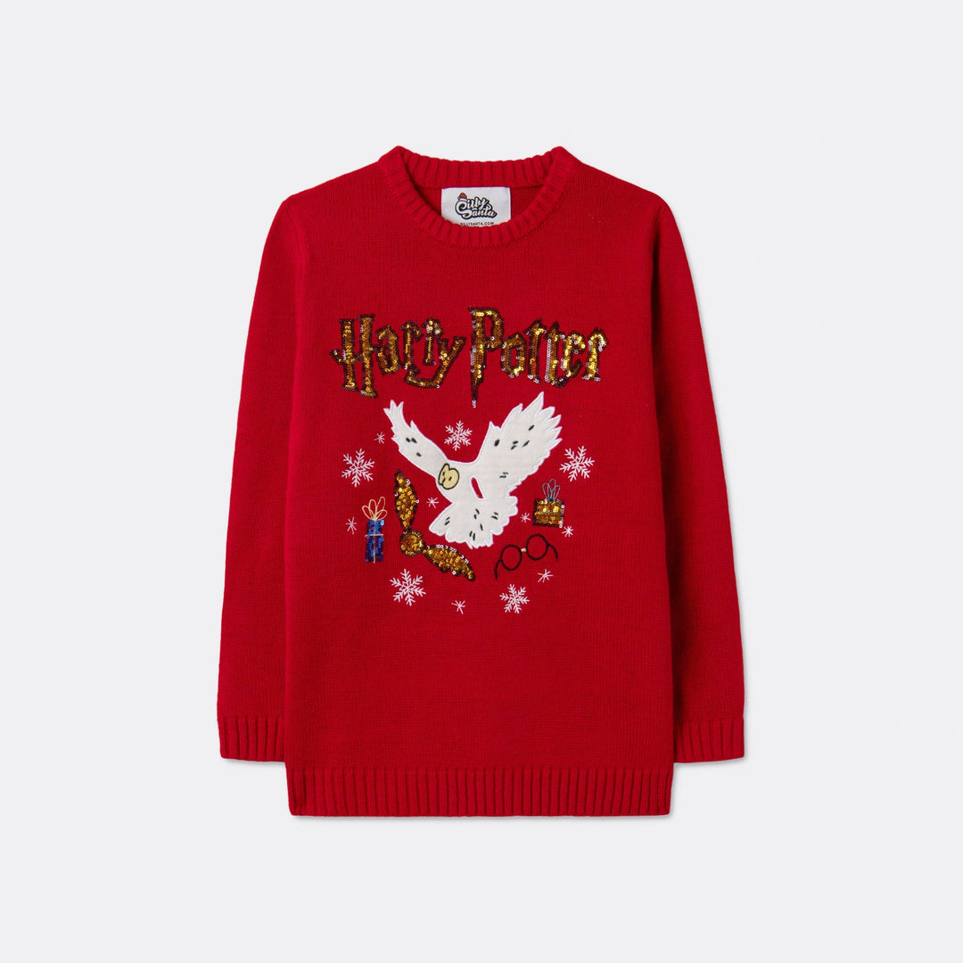 Harry Potter Weihnachtspullover Kinder