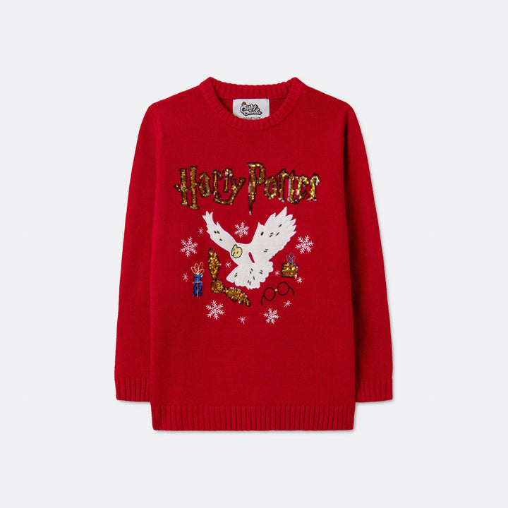 Harry Potter Weihnachtspullover Kinder