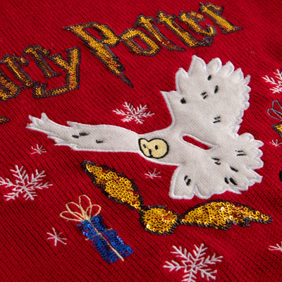 Harry Potter Weihnachtspullover Kinder