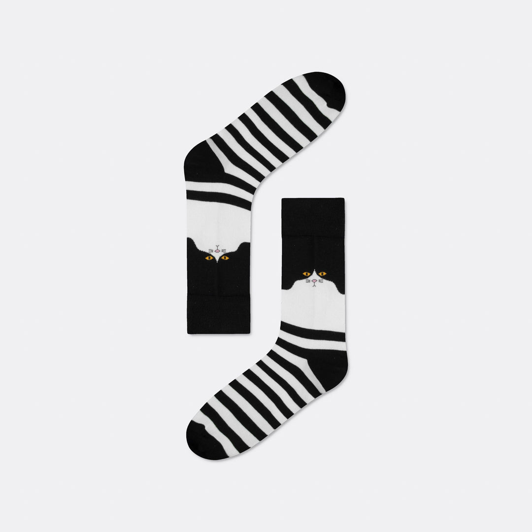 Katzen Socken Geschenkbox
