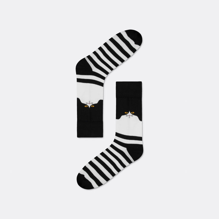 Katzen Socken Geschenkbox