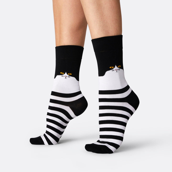 Katzen Socken Geschenkbox
