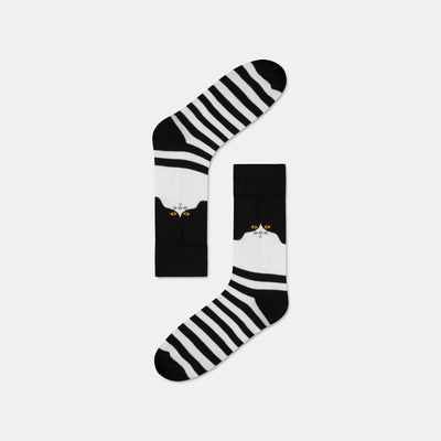 Katzen Socken Geschenkbox