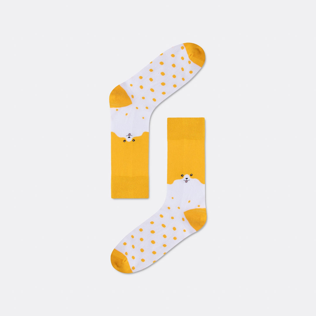 Hunde Socken Geschenkbox