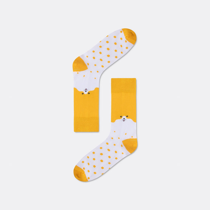 Hunde Socken Geschenkbox